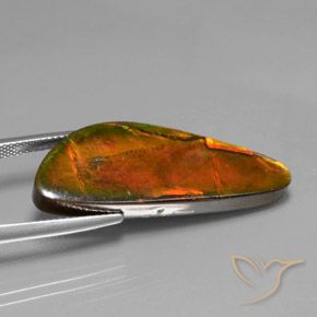 amolita Multicolor natural de 18.60 ct, Elegante, Opaco