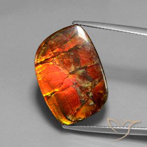 17.18ct Natural Multicolor amolita, Elegante, Opaco