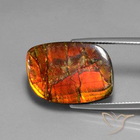 amolita Multicolor natural de 17.18 ct, Elegante, Opaco