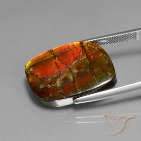 amolita Multicolor natural de 17.18 ct, Elegante, Opaco