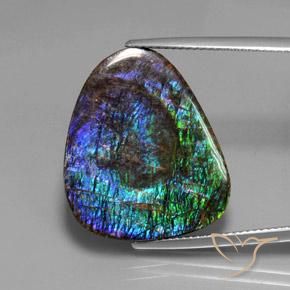18.37ct Natural Multicolor amolita, Elegante, Opaco