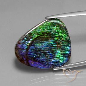 amolita Multicolor natural de 18.37 ct, Elegante, Opaco