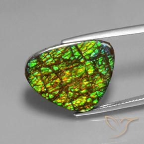 19.08ct Natural Multicolor amolita, Trillón, Opaco