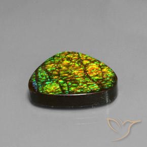 amolita Multicolor natural de 19.08 ct, Trillón, Opaco