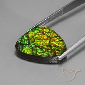 amolita Multicolor natural de 19.08 ct, Trillón, Opaco