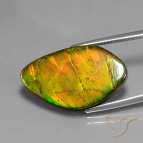 amolita Multicolor natural de 15.41 ct, Elegante, Opaco