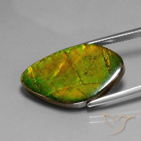 amolita Multicolor natural de 15.41 ct, Elegante, Opaco
