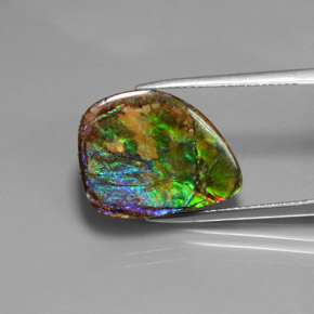 amolita Multicolor natural de 10.38 ct, Forma elegante, Opaco