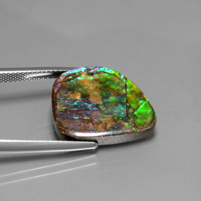 amolita Multicolor natural de 10.38 ct, Forma elegante, Opaco