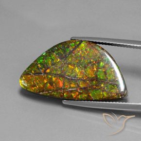 17.66ct Natural Multicolor amolita, Elegante, Opaco