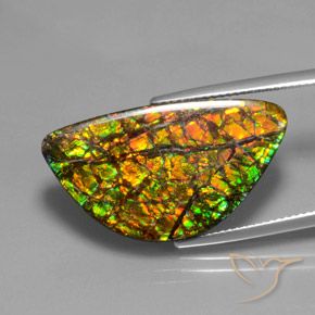 amolita Multicolor natural de 17.66 ct, Elegante, Opaco
