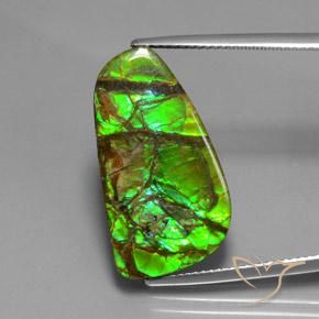 12.43ct Natural Multicolor amolita, Elegante, Opaco