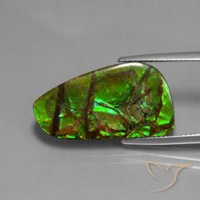 amolita Multicolor natural de 12.43 ct, Elegante, Opaco