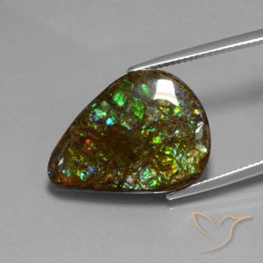 amolita Multicolor natural de 14.33 ct, En forma de pera, Opaco