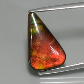 Ammolita multicolor natural de 7,72 ct, forma elegante, opaco