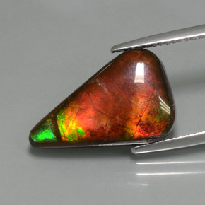 Ammolita multicolor natural de 7,72 ct, forma elegante, opaco