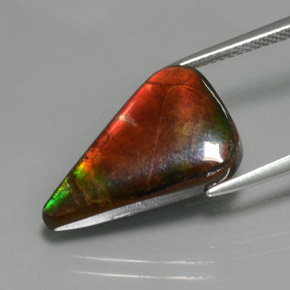 Ammolita multicolor natural de 7,72 ct, forma elegante, opaco