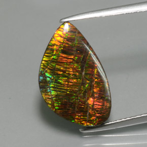 amolita Multicolor natural de 5.72 ct, Forma elegante, Opaco