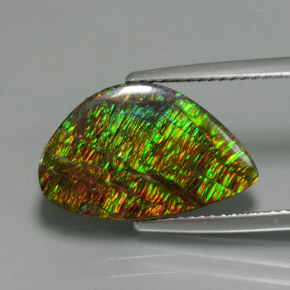 amolita Multicolor natural de 5.72 ct, Forma elegante, Opaco