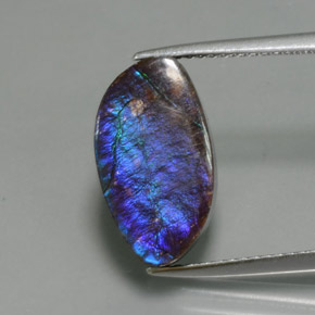 amolita Multicolor natural de 4.88 ct, Forma elegante, Opaco