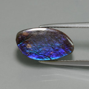 amolita Multicolor natural de 4.88 ct, Forma elegante, Opaco