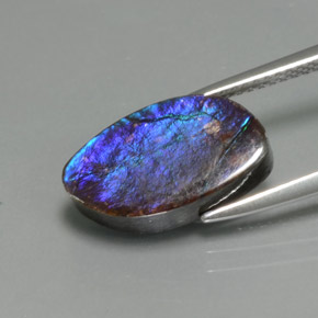 amolita Multicolor natural de 4.88 ct, Forma elegante, Opaco