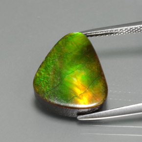 Ammolita multicolor natural de 6,81 ct, forma elegante, opaco