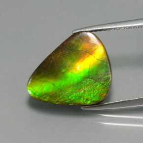 Ammolita multicolor natural de 6,81 ct, forma elegante, opaco
