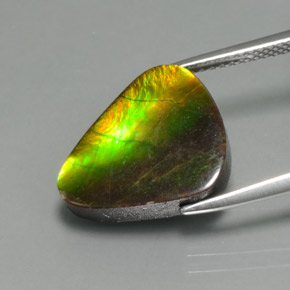 Ammolita multicolor natural de 6,81 ct, forma elegante, opaco