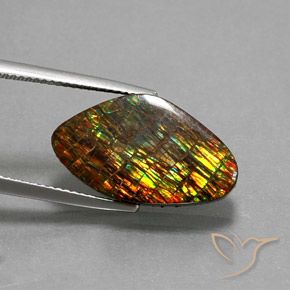 amolita Multicolor natural de 10.29 ct, Elegante, Opaco