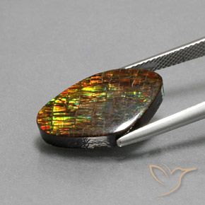 amolita Multicolor natural de 10.29 ct, Elegante, Opaco