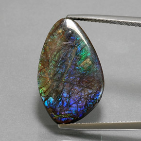 Ammolita multicolor natural de 10,99 ct, forma elegante, opaco