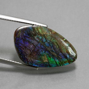 Ammolita multicolor natural de 10,99 ct, forma elegante, opaco