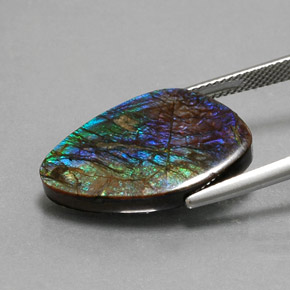 Ammolita multicolor natural de 10,99 ct, forma elegante, opaco
