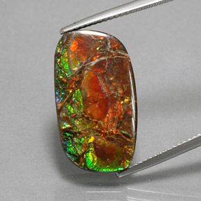 Ammolita multicolor natural de 11,39 ct, forma elegante, opaco