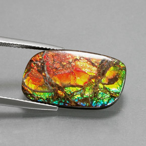 Ammolita multicolor natural de 11,39 ct, forma elegante, opaco