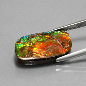 Ammolita multicolor natural de 11,39 ct, forma elegante, opaco