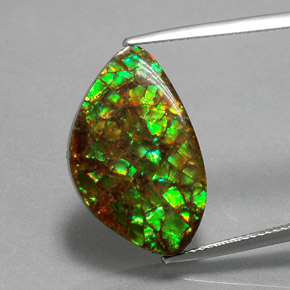 amolita Multicolor natural de 11.61 ct, Forma elegante, Opaco