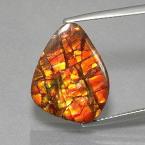 Ammolita multicolor natural de 11,57 ct, forma elegante, opaco