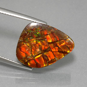 Ammolita multicolor natural de 11,57 ct, forma elegante, opaco