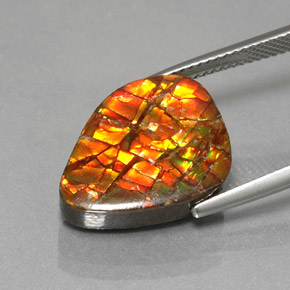 Ammolita multicolor natural de 11,57 ct, forma elegante, opaco