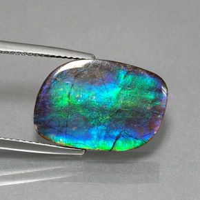 Ammolita multicolor natural de 8,79 ct, forma elegante, opaco