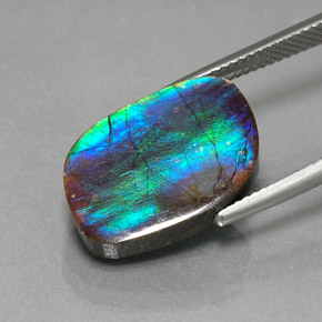 Ammolita multicolor natural de 8,79 ct, forma elegante, opaco