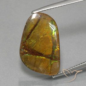 8.36ct Natural Multicolor amolita, Elegante, Opaco