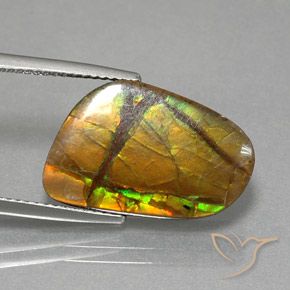 amolita Multicolor natural de 8.36 ct, Elegante, Opaco
