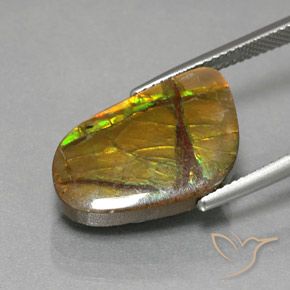 amolita Multicolor natural de 8.36 ct, Elegante, Opaco