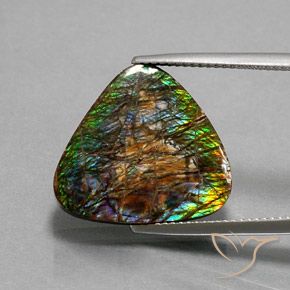 12.33ct Natural Multicolor amolita, Trillón, Opaco