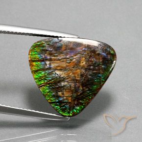 amolita Multicolor natural de 12.33 ct, Trillón, Opaco