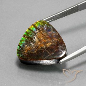 amolita Multicolor natural de 12.33 ct, Trillón, Opaco