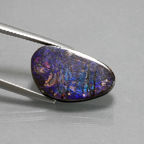 amolita Multicolor natural de 7.74 ct, Forma elegante, Opaco